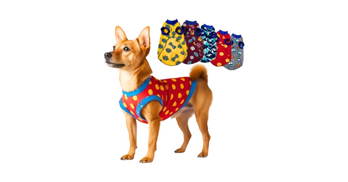 Melhores Roupinhas de Time Para Cachorro? Guia