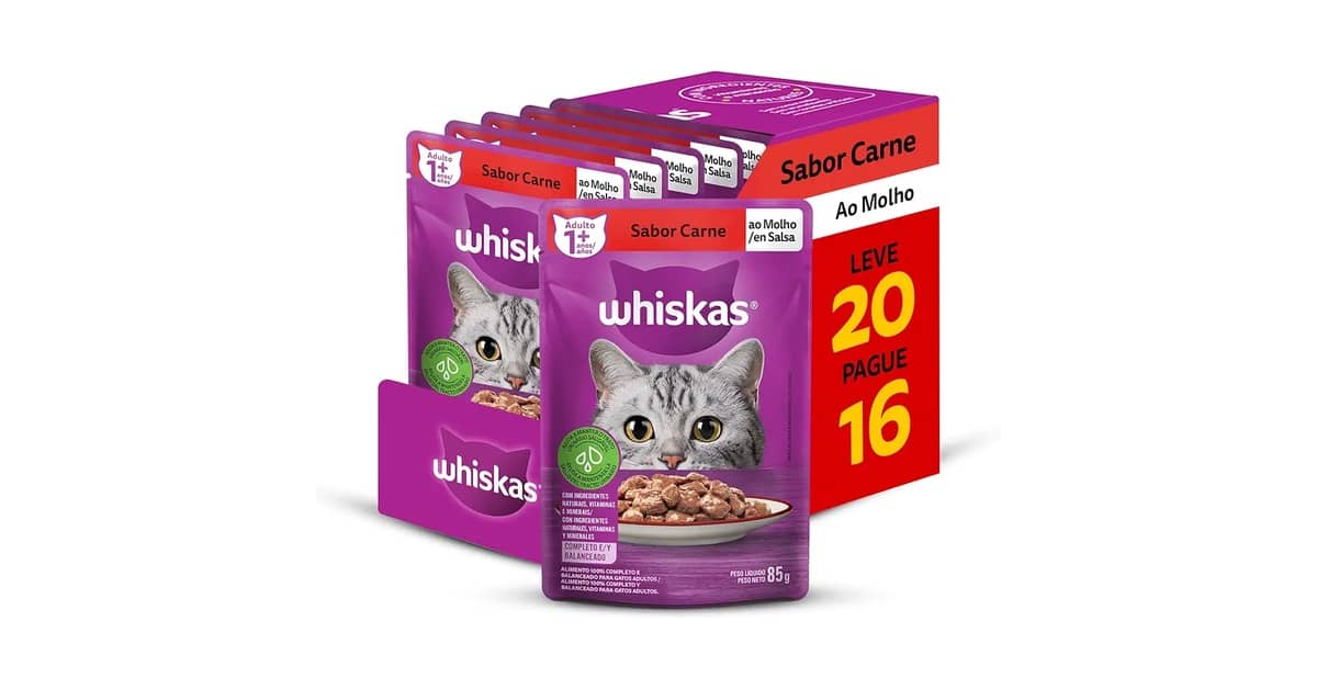 Melhores Sachês para Gato: Guia Para Todas as Fases