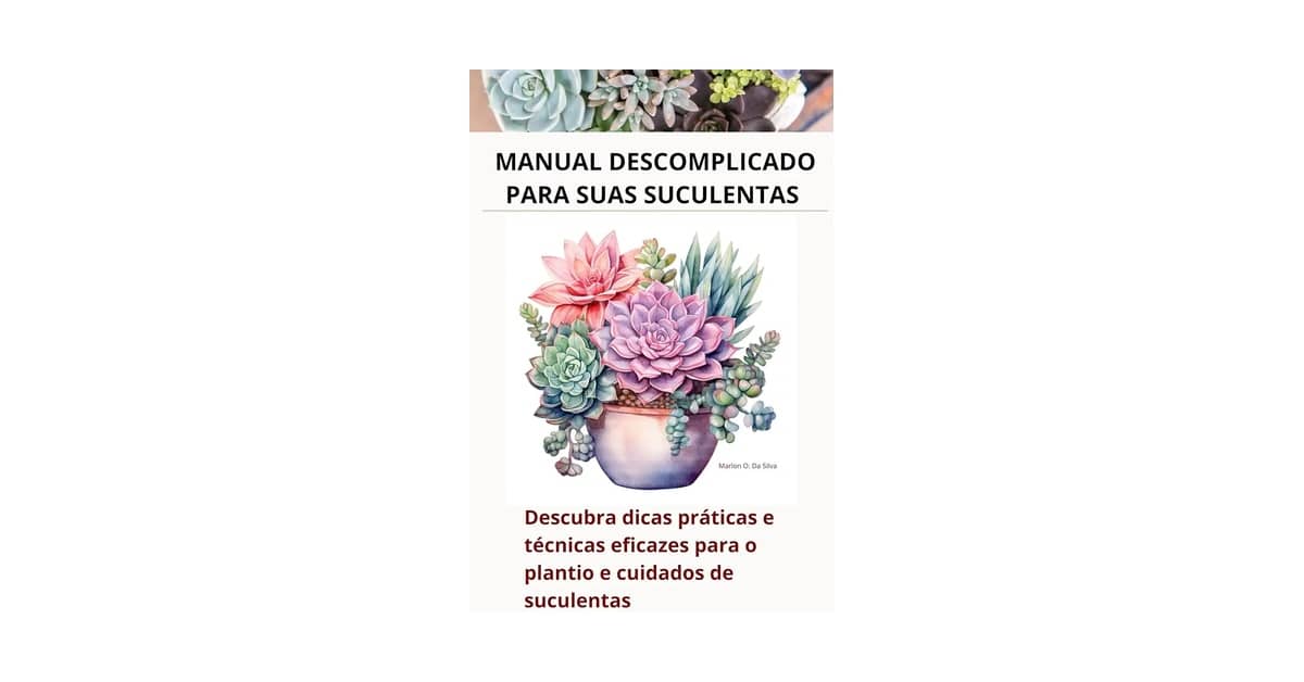 Melhores suculentas de fácil cuidado para iniciantes: Guia com 3 Opções