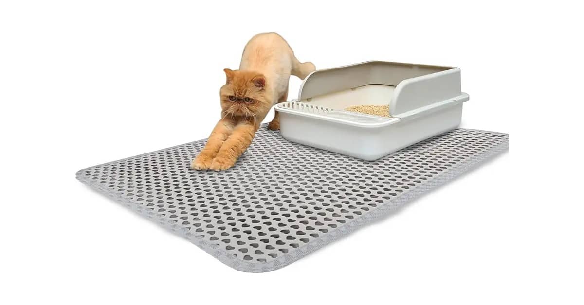 Melhores Tapetes Para Caixa de Areia de Gato: Top 10