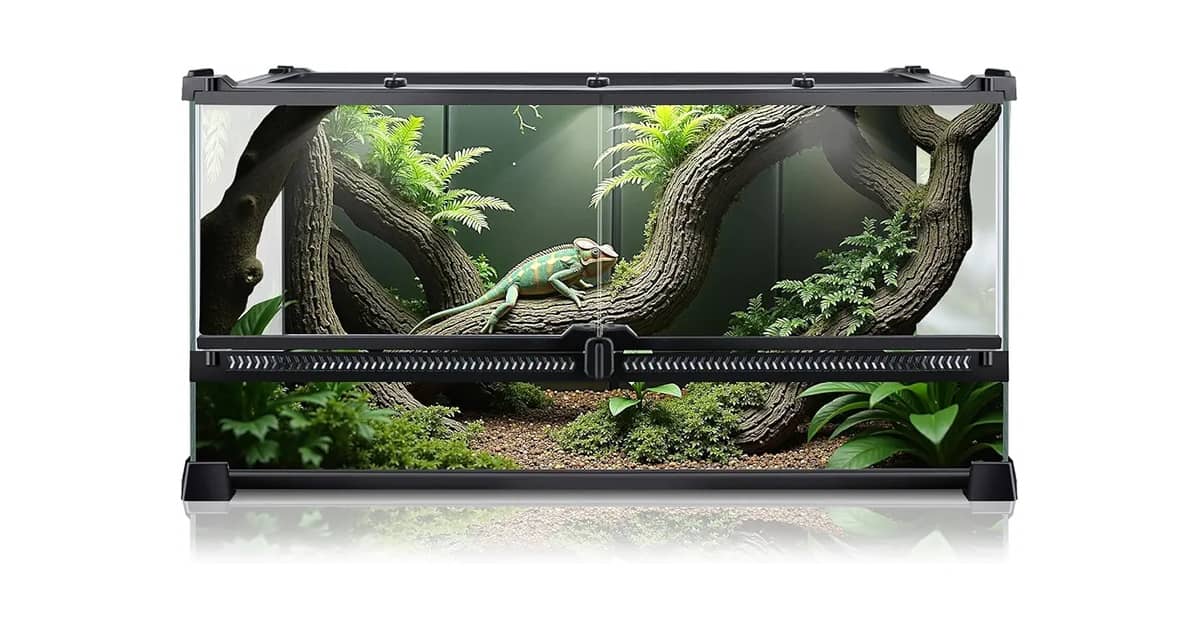 Melhores terrários para cobra: Segurança e Espaço