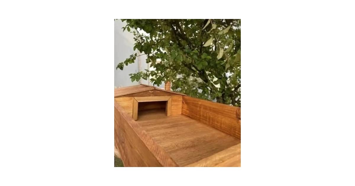 Melhores Terrários Para Jabuti: Qual O Espaço Ideal?