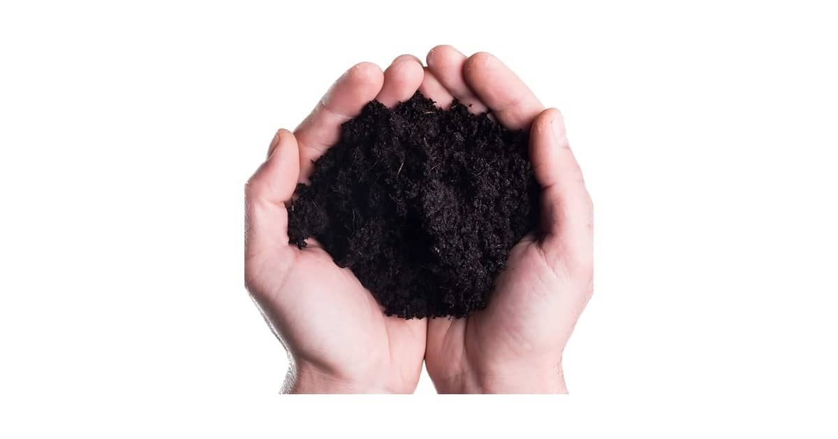 Melhores Terras Para Plantio? Guia de Compra Definitivo