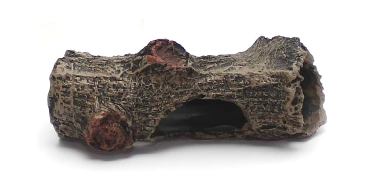 Melhores Troncos Para Aquário: Natural ou Resina?
