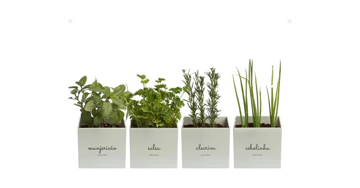 Melhores Vasos Autoirrigáveis Para Plantas Saudáveis