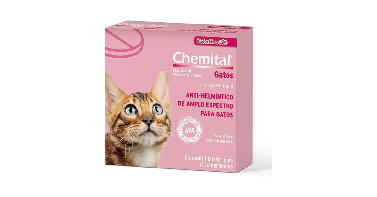Melhores Vermífugos Para Gato: Proteção Completa!