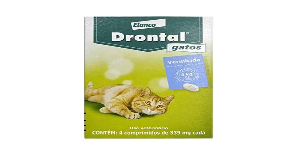 Melhores Vermífugos Para Gatos: Qual O Melhor?