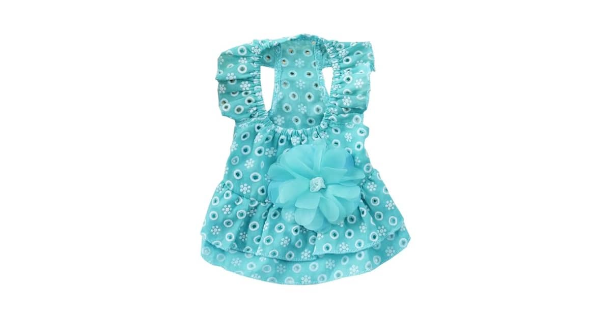 Melhores vestidos para cadela: Guia Para Cada Estilo