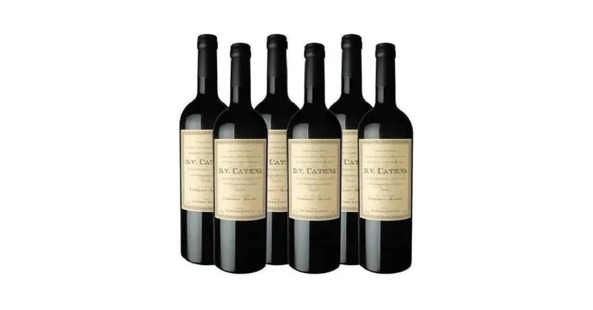 Melhores Vinhos Argentinos: Qual Rótulo Comprar?