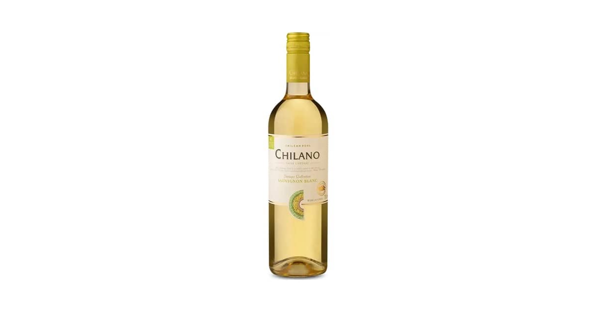 Melhores Vinhos Brancos Sauvignon Blanc Chilenos: Guia de Sabores