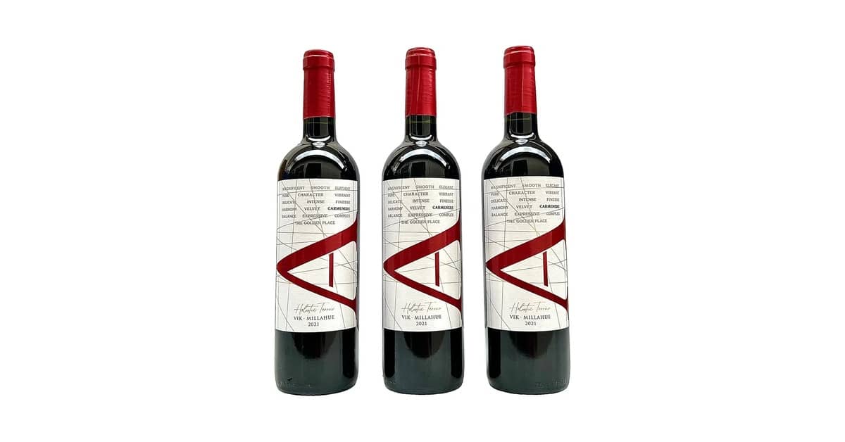 Melhores Vinhos Chilenos Carmenere Com Bom Preço