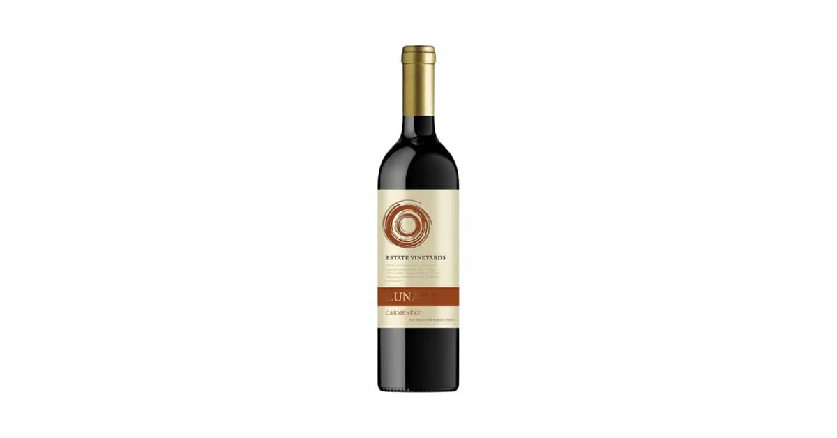 Melhores Vinhos Chilenos: Guia com 10 Rótulos
