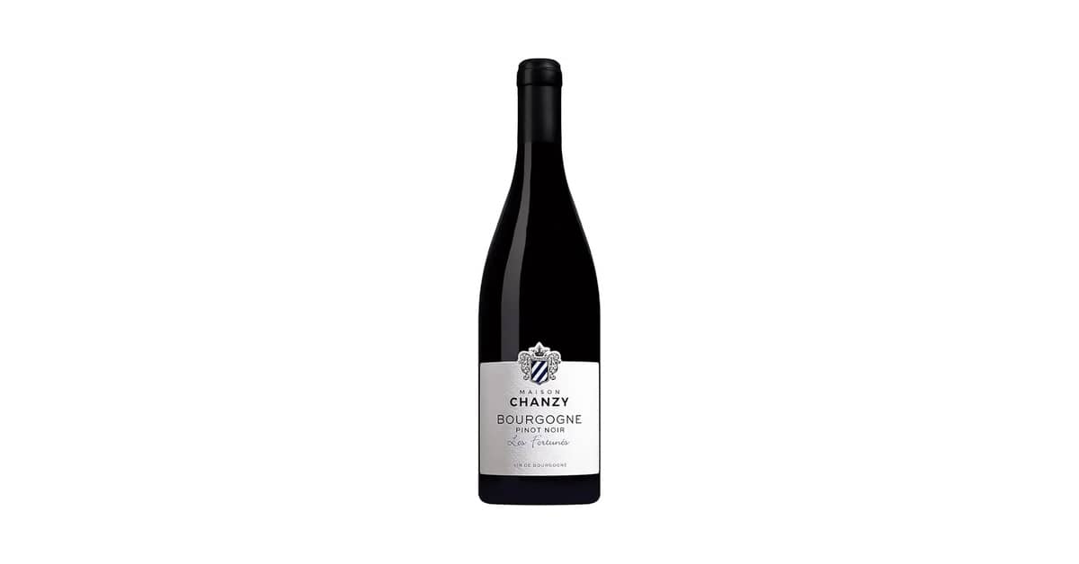 Melhores Vinhos Pinot Noir da Borgonha: 6 Rótulos