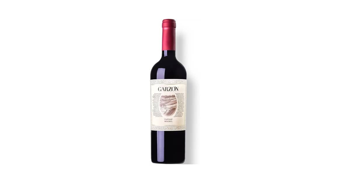 Melhores Vinhos Tannat Uruguaios: Qual Rótulo Escolher?