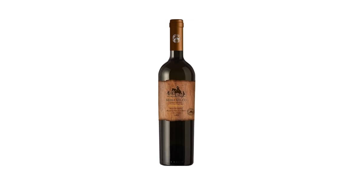 Melhores Vinhos Tintos Secos: Do Malbec ao Chianti