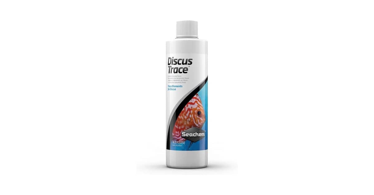 Melhores Vitaminas Para Peixe: Saúde e Cor no Aquário