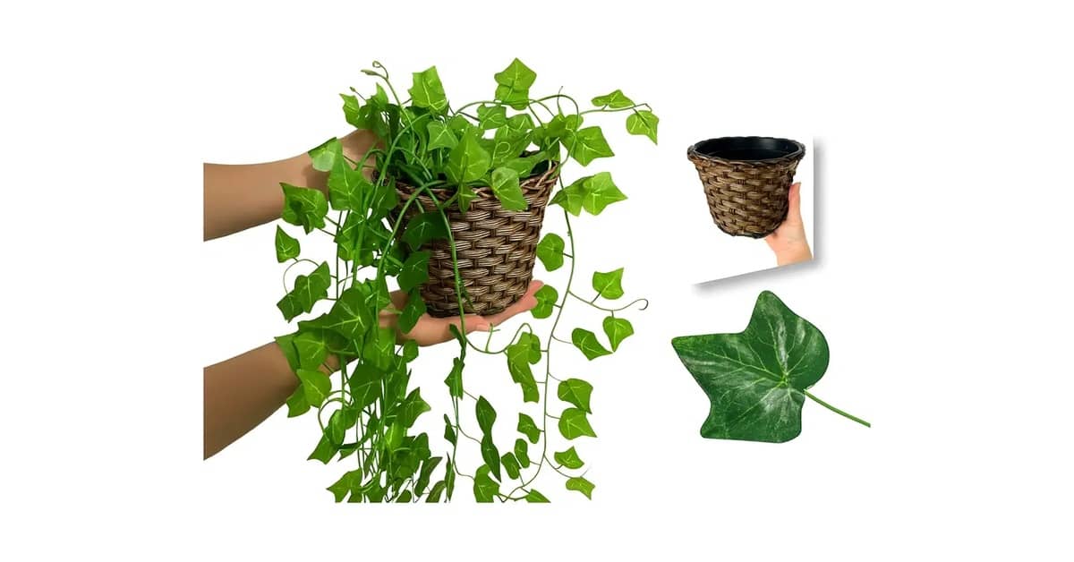 Qual a Melhor Planta para Mesa de Escritório: Guia de Decoração