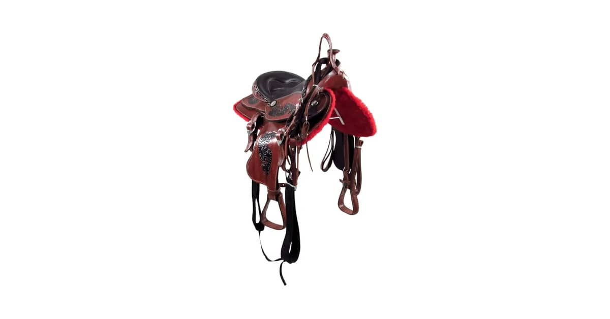 Qual a Melhor Sela para Cavalo Quarto de Milha: Guia Completo