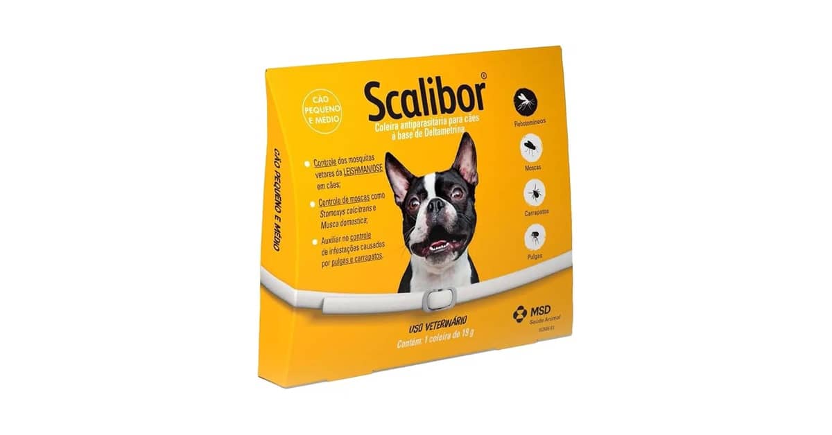 Qual Melhor Coleira Antipulgas? 10 Modelos Eficazes