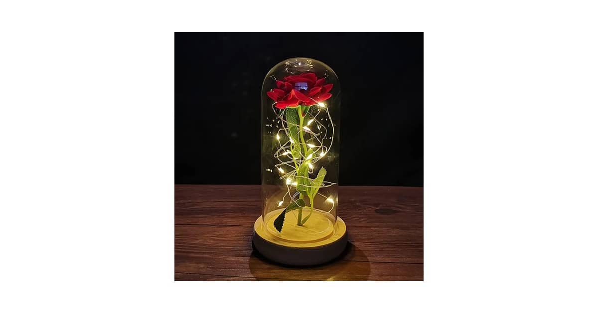 Qual Melhor Presente para dar a Namorada no dia dos Namorados: Rosas Eternas e Joias