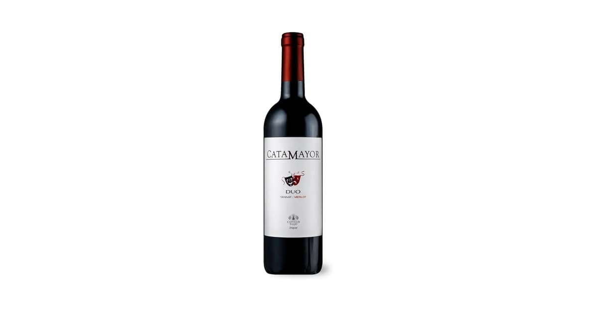 Qual Melhor Vinho Tannat ou Merlot: Guia Essencial