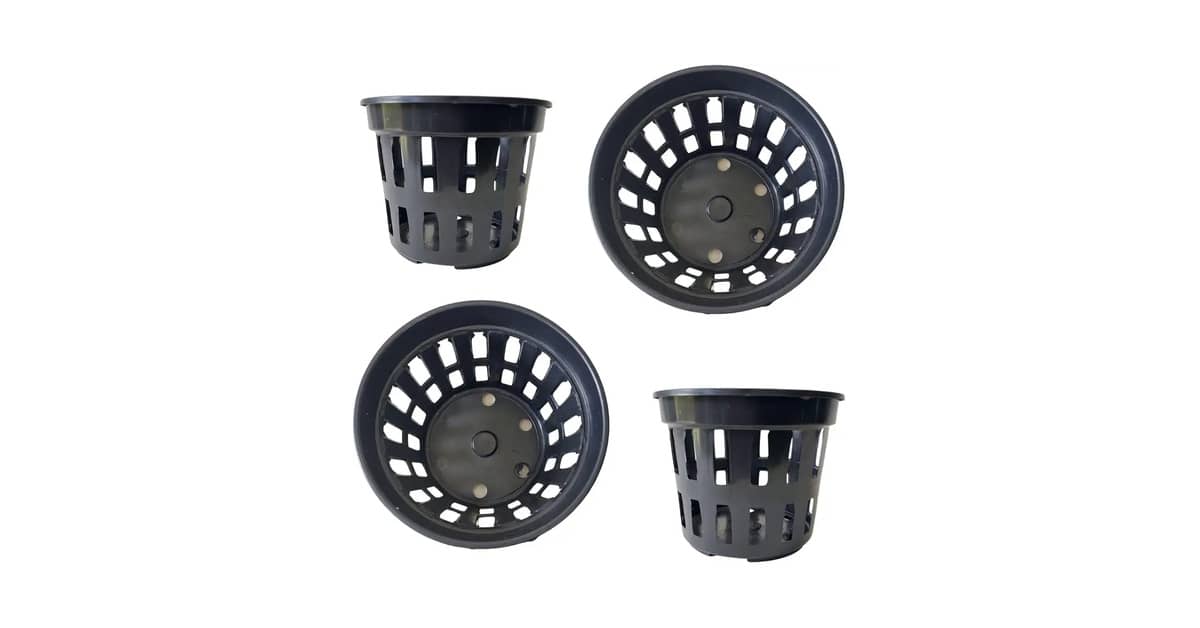 Qual o Melhor Vaso para se Plantar Zamioculca: Opções com Drenagem