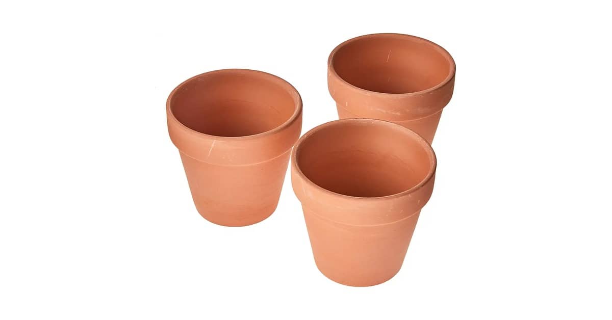 Vasos de Barro: Qual o Melhor para Suas Plantas?