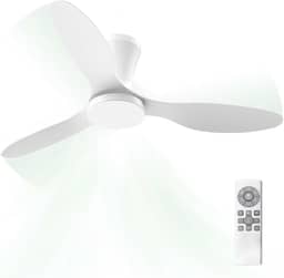 Ventilador de Teto com Controle Remoto Silencioso 6 Velocidades Função Reversa LED 21W Ajustável com Memória Moderno 220V/110V, Branco