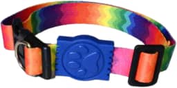 MY PET BRASIL Coleira Para Cachorros P Coleira Ajustável Rainbow Passeio E Viagem Confortável E Resistente
