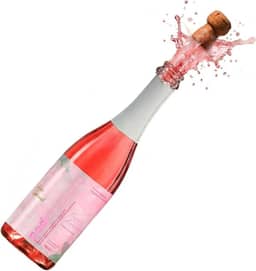 Pod Kombucha 750ml Cereja e Framboesa