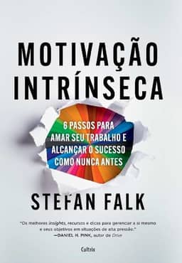Motivação Intrínseca: 6 Passos Fundamentais Para Amar seu Trabalho e Alcançar o Sucesso Total Como Nunca Antes