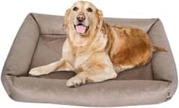 Cama Para Cachorro Grande 100x87 Cm - ESCOLHA A COR - 100% Lavável e Resistente - Pet Querido (CAPUCCINO)