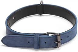 Coleira Ajustável Com Dupla Espessura Reforçada Confortável Para Cachorro Grande Médio Pequeno Porte(Azul,P (1,5cm))
