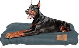 Cama Pet Impermeável Colchonete Fun 60x90 GG - Cachorro Grande, Resistente, Lavável e Capa Removível. (Chumbo)