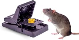 Ratoeira Boca De Jacaré Captura De Ratos Reutilizável Domésticos