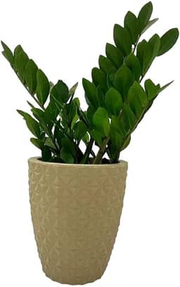 VASO POLIETILENO COLUNA BERLIAN GOLD 3D DECORATIVO P/PLANTAS/JARDINS/ESCRITÓRIOS (BEGE)