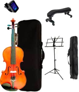 Violino Eagle Ve245 4/4 Verniz Master Série + Kit