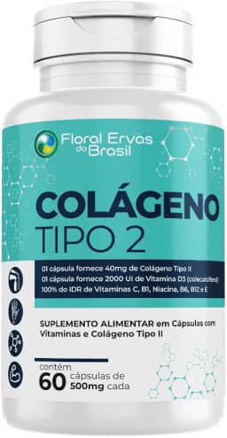 Colágeno Tipo 2 I I 60 Cápsulas + Vitaminas Máximo 1 Ao Dia