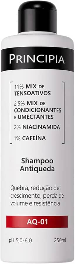SHAMPOO ANTIQUEDA PRINCIPIA