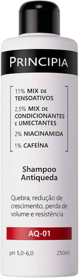 SHAMPOO ANTIQUEDA PRINCIPIA
