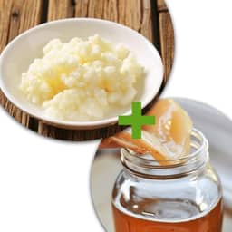 Kit Kombucha e Kefir de Leite Com Assessoria no Cultivo e Criação