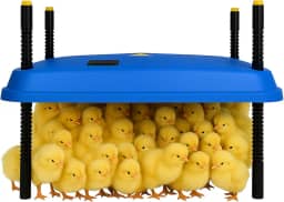 Chocadeira ajustável de 40 x 40 cm para pintinhos, proporcionando aquecimento constante e eficiente. Seguro, economiza energia, fácil de montar e limpar. Perfeito para chocar frango (azul)