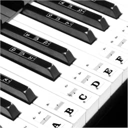Adesivos básicos de teclado de piano para crianças iniciantes adultos aprendendo 37 44 49 54 61 88 teclas etiquetas de vinil com letras números removíveis pequenos decalques branco preto chave musical