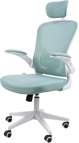 Cadeira Ergonômica Eurynom, Giratória, para Escritório e Home Office, com Encosto Reclinável (Modo Balanço), Braços Pivotantes, Apoio de Cabeça, Apoio Lombar (Azul Esverdeado)