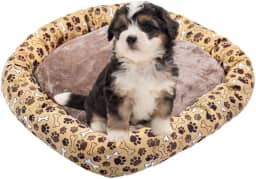 Caminha Pet P - Cama pet PEQUENA - FUNDO IMPERMEAVEL E COM ZIPER (BEGE, P - 45x45cm)