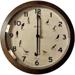 Relógio Parede Canto Passaros Brasileiros Herweg 6658 - 323