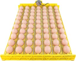 Jiawu Bandeja automática para virar ovos, mini chocadeira com motor, 70 ovos, bandeja para virar ovos, ferramenta para chocar ovos de galinha, pato, codorna