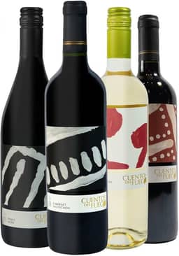 Kit 4 Vinhos Chilenos Pinot Noir Carmenere Cabernet e Sauvignon Blanc Cuentos Del Fuego