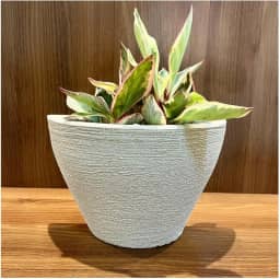VASO POLIETILENO DE PAREDE DECORATIVO P/PLANTAS/JARDINS/ESCRITÓRIOS LUXO (BEGE)