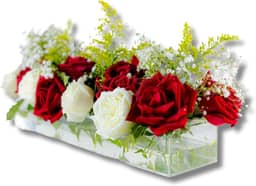 Vaso de flor de acrílico, vaso de flor retangular, vaso de floreira vaso de arte decorativa, suporte de planta hidropônica para mesa de jantar em casa,40x10x6,5cm 18 Furos